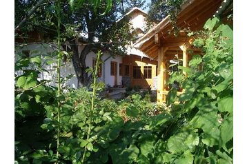 Pension de famille Brebu 6